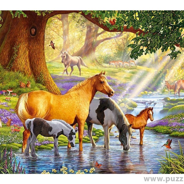 Castorland puzzle Horses by the Stream 1000 κομμάτια (C-103737-2)
