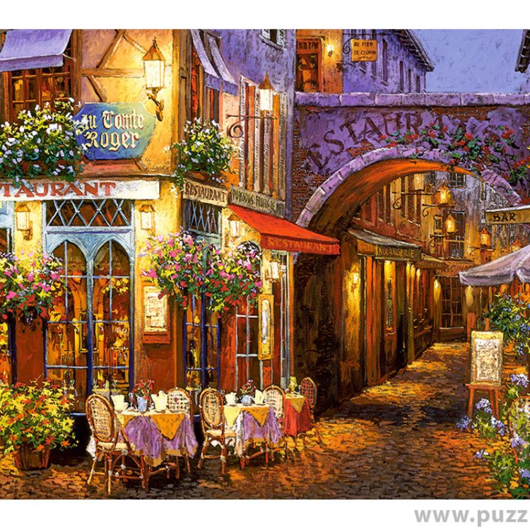 Castorland puzzle Evening in Provence 1000 κομμάτια (C-104123-2)