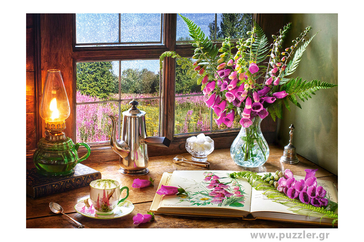 Castorland puzzle Still Life with Violet Snapdragons 1000 κομμάτια (C-104345-2)