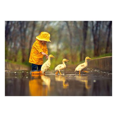 Castorland puzzle Rainy Day Friends 500 κομμάτια (52264)