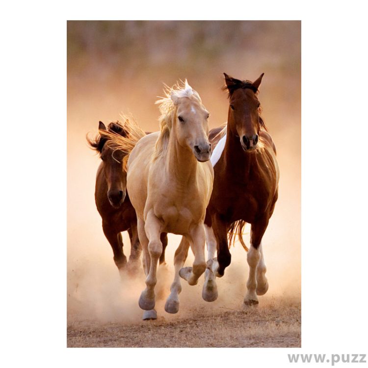 Clementoni puzzle Horses, Mountain, Mont Saint-Michel 500+2x1000 κομμάτια (08107)