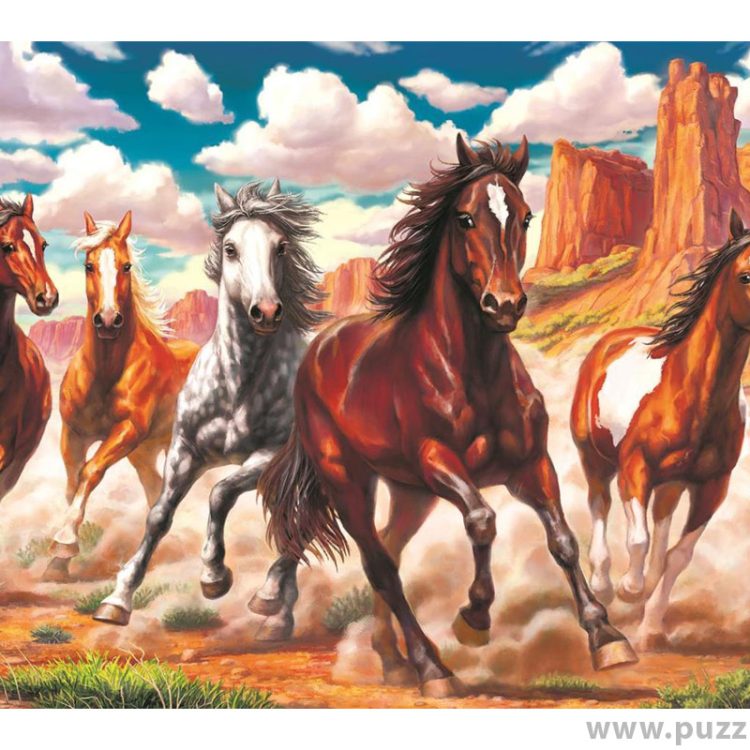 Art puzzle Running Wild in the Valley 1000 κομμάτια