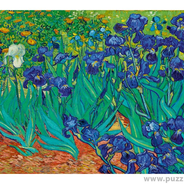 Bluebird puzzle Vincent Van Gogh - Irises, 1889 1000 κομμάτια