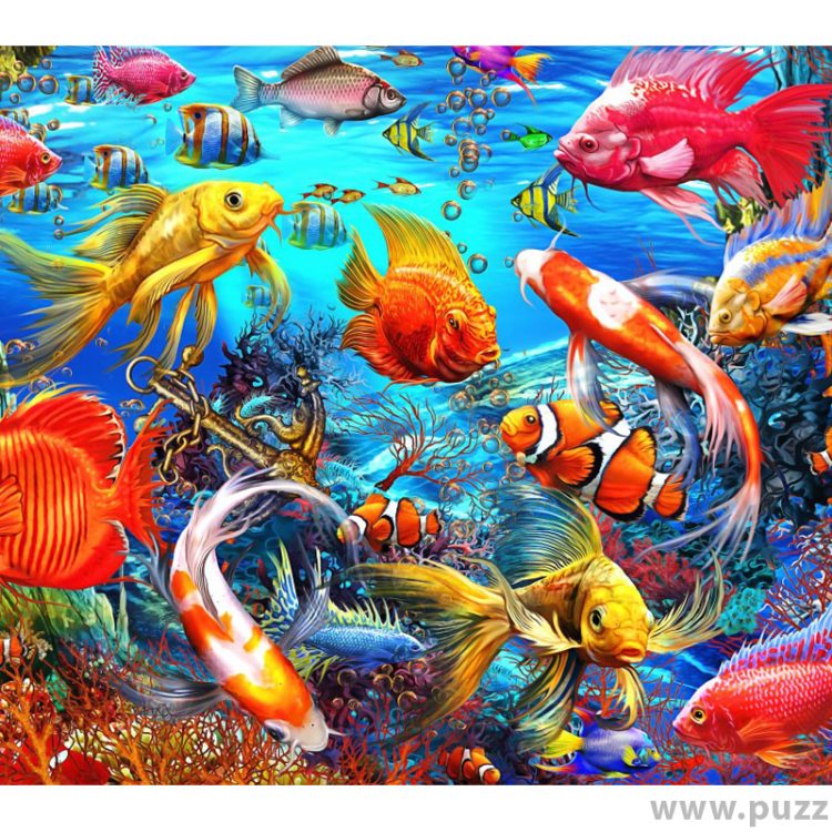 Bluebird puzzle Tropical Fish 1500 κομμάτια