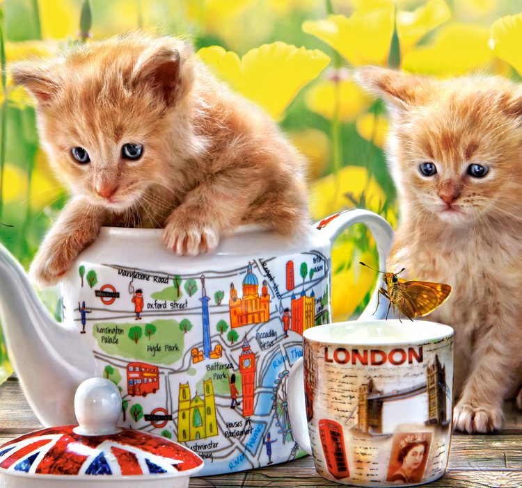 Castorland puzzle Tea Time 500 κομμάτια (B-52356)