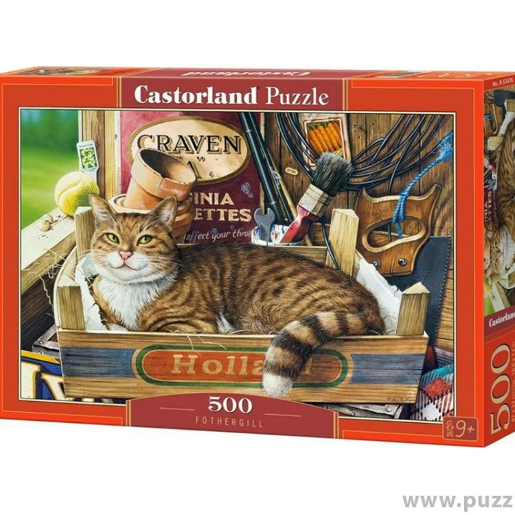 Castorland puzzle Fothergill 500 κομμάτια (B-53476)