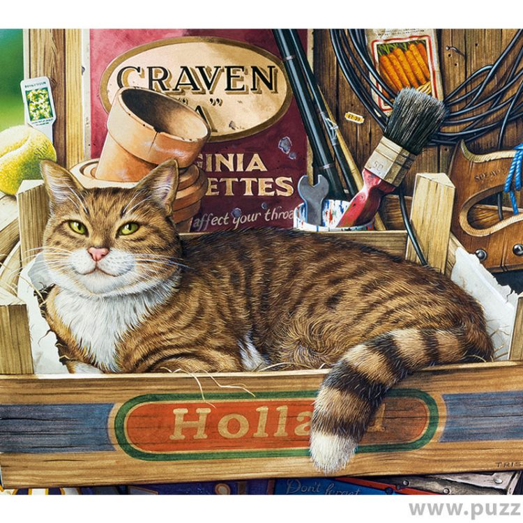 Castorland puzzle Fothergill 500 κομμάτια (B-53476)