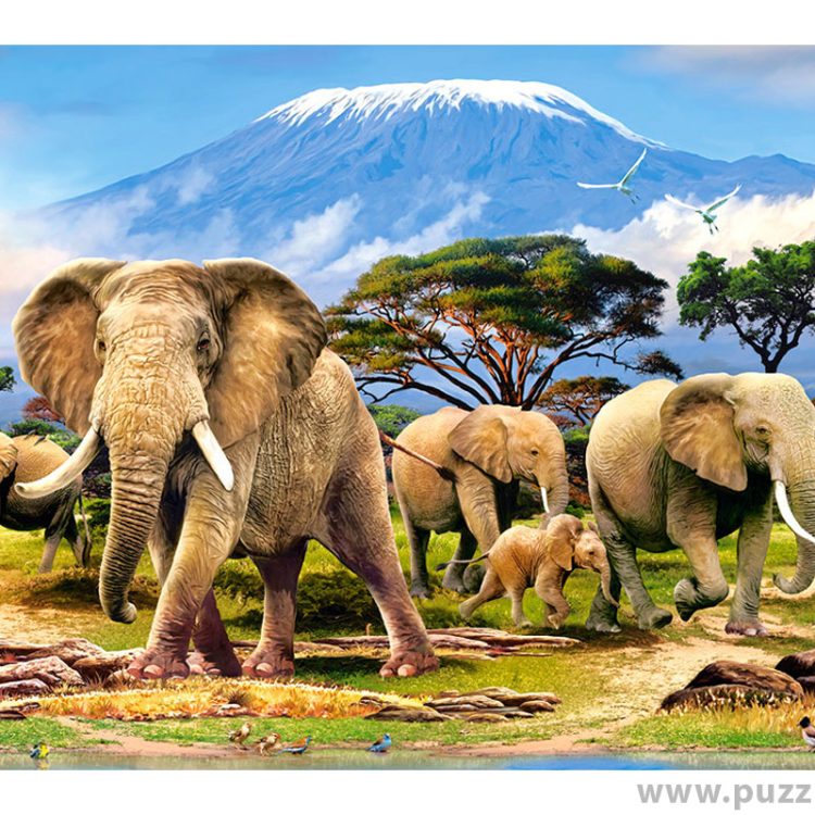 Castorland puzzle Kilimanjaro Morning 1000 κομμάτια (C-103188-2)