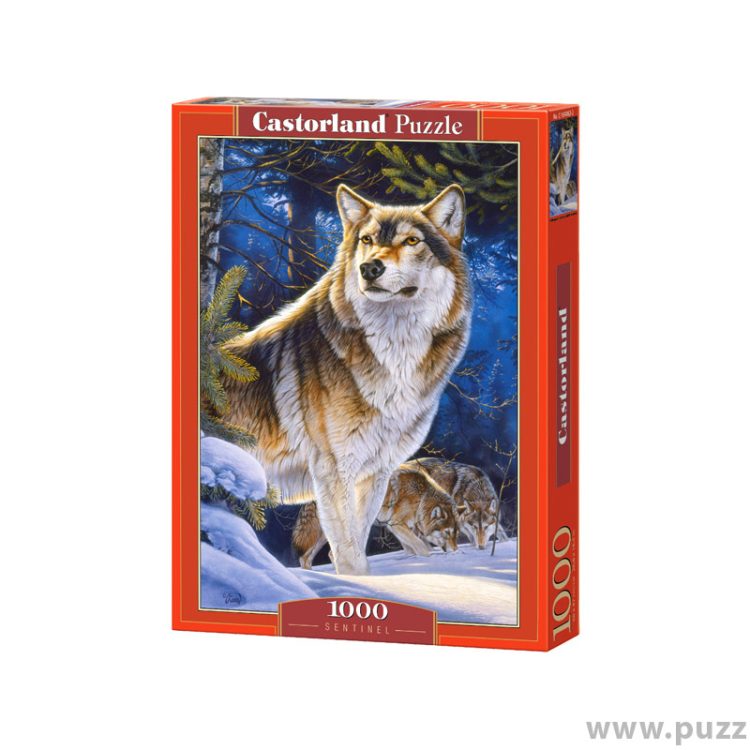 Castorland puzzle Sentinel 1000 κομμάτια (C-104062-2)