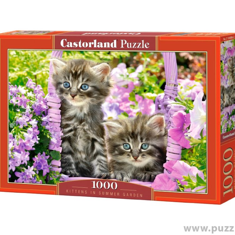 Castorland puzzle Kitten in Summer Garden 1000 κομμάτια (C-104086-2)