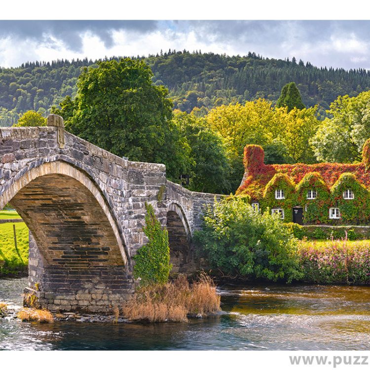 Castorland puzzle Village Corner in Wales 1000 κομμάτια (C-104673-2)