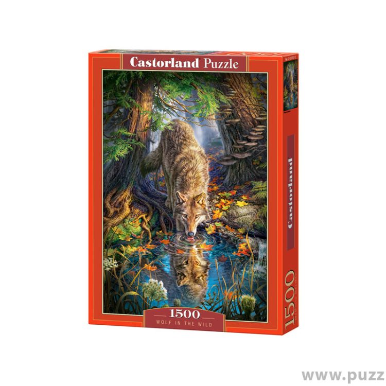 Castorland puzzle Wolf in the Wind 1500 κομμάτια (C-151707-2)