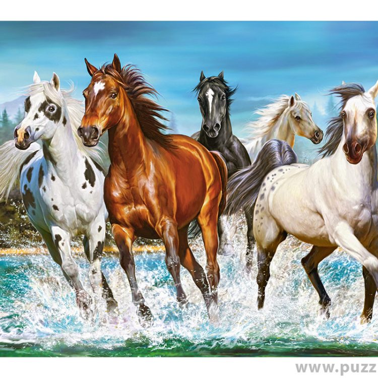 Castorland puzzle Call of Nature 2000 κομμάτια (C-200702-2)