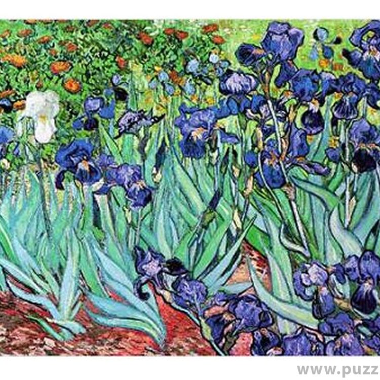 D-Toys puzzle Vincent van Gogh - Iris 1000 κομμάτια