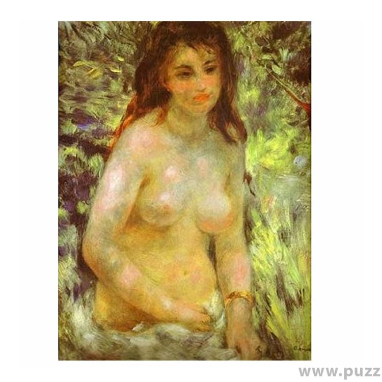 D-Toys puzzle Pierre Auguste Renoir - Naked in the Sun 1000 κομμάτια
